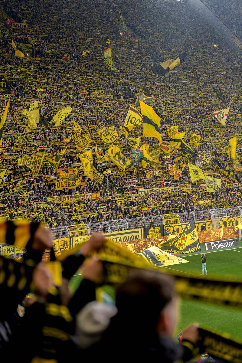 开云体育赛事-包含集结日全明星赛传出新动向；巴黎圣日耳曼战术微调；管理层表态——压力陡增；高层口径保持一致的词条